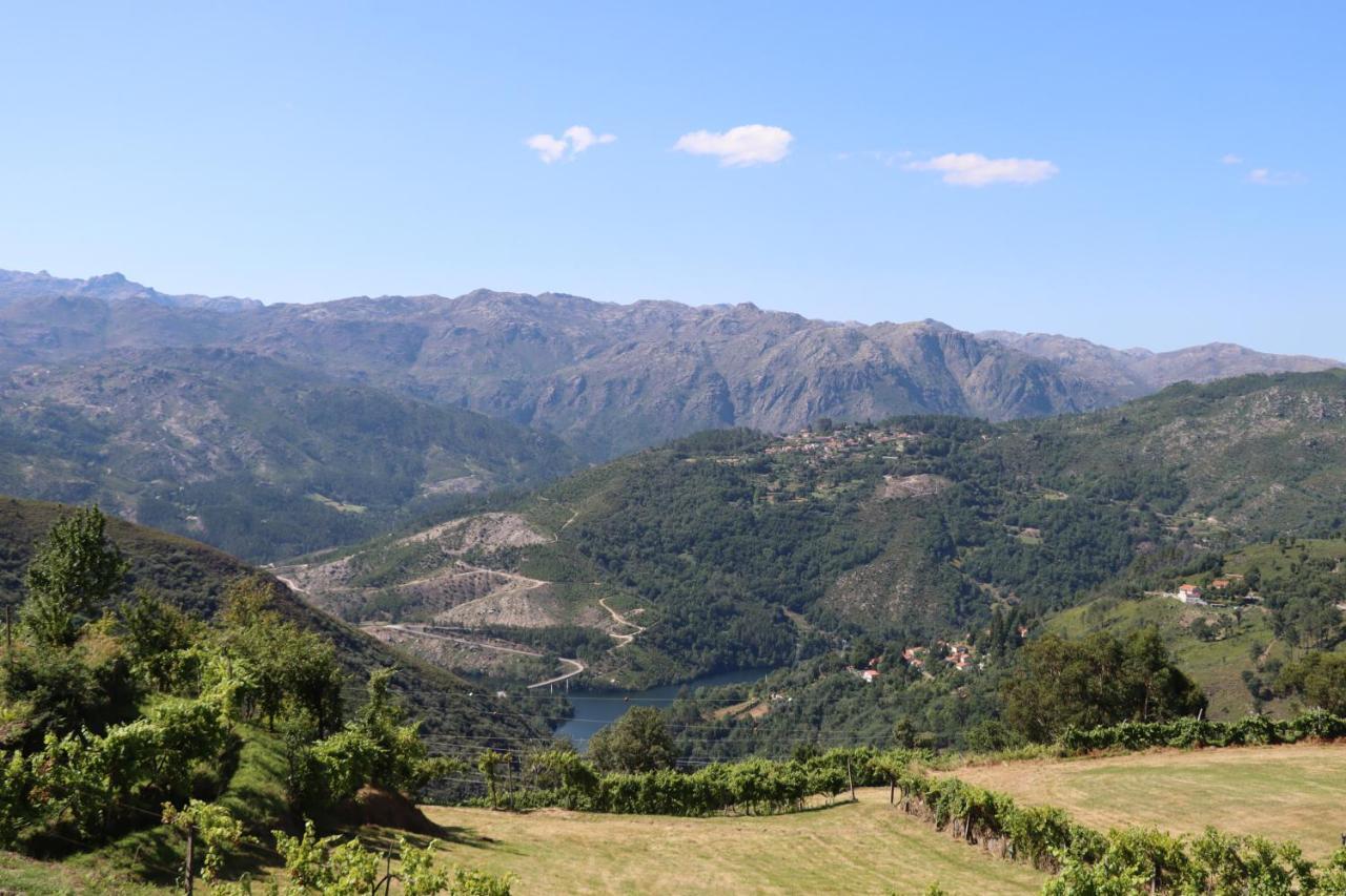 Quinta Da Riba Ma Konuk evi Santa Leocadia Dış mekan fotoğraf