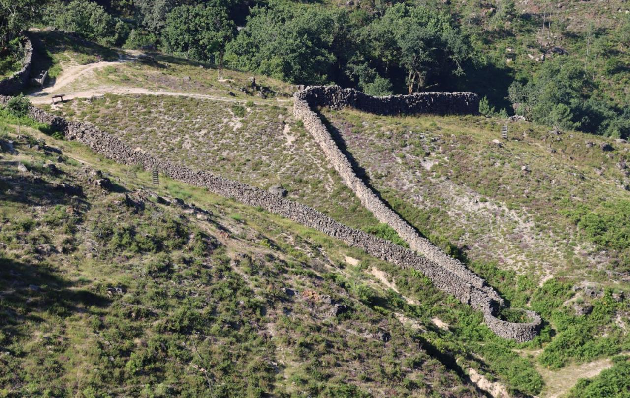 Quinta Da Riba Ma Konuk evi Santa Leocadia Dış mekan fotoğraf