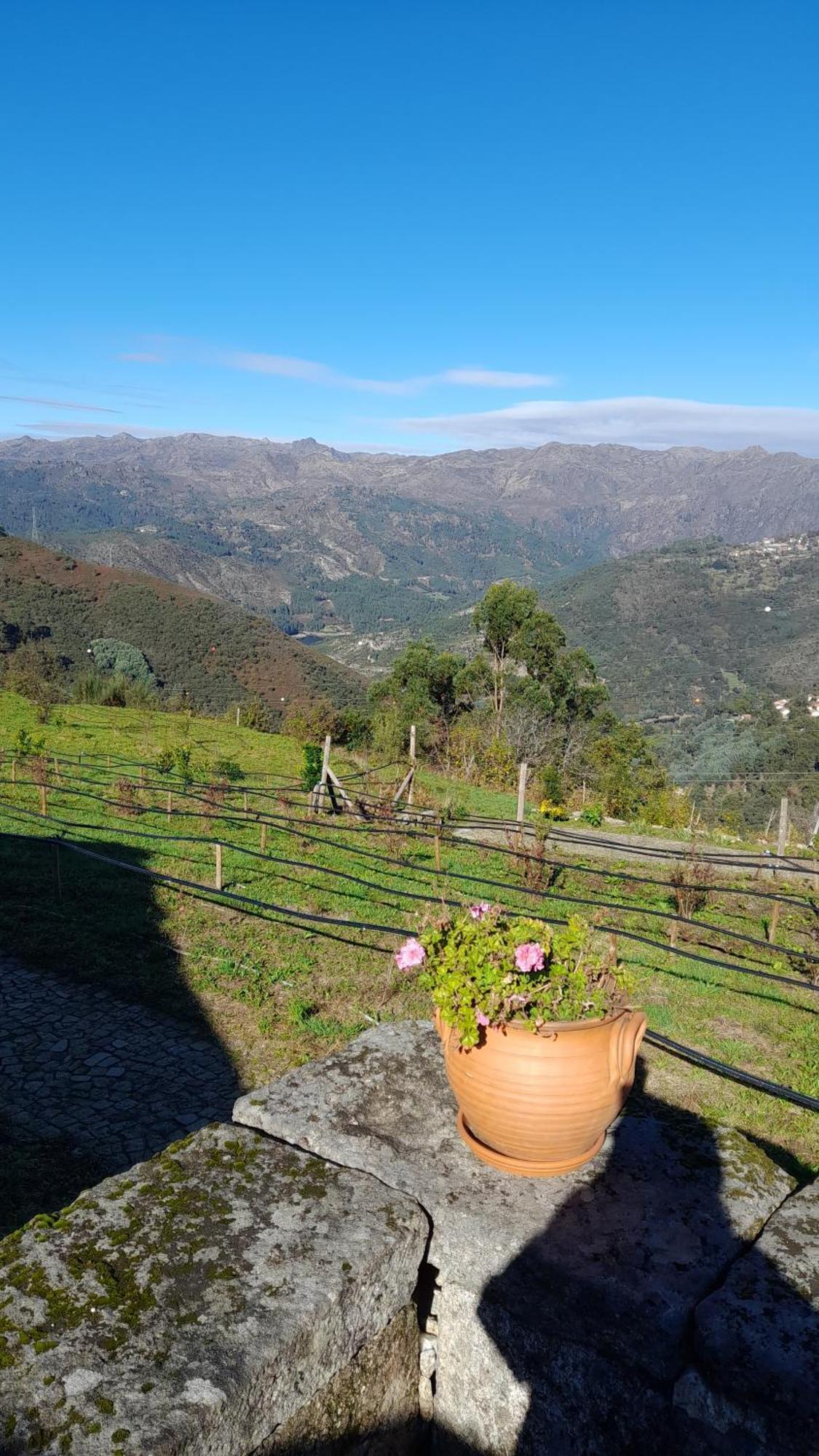 Quinta Da Riba Ma Konuk evi Santa Leocadia Dış mekan fotoğraf